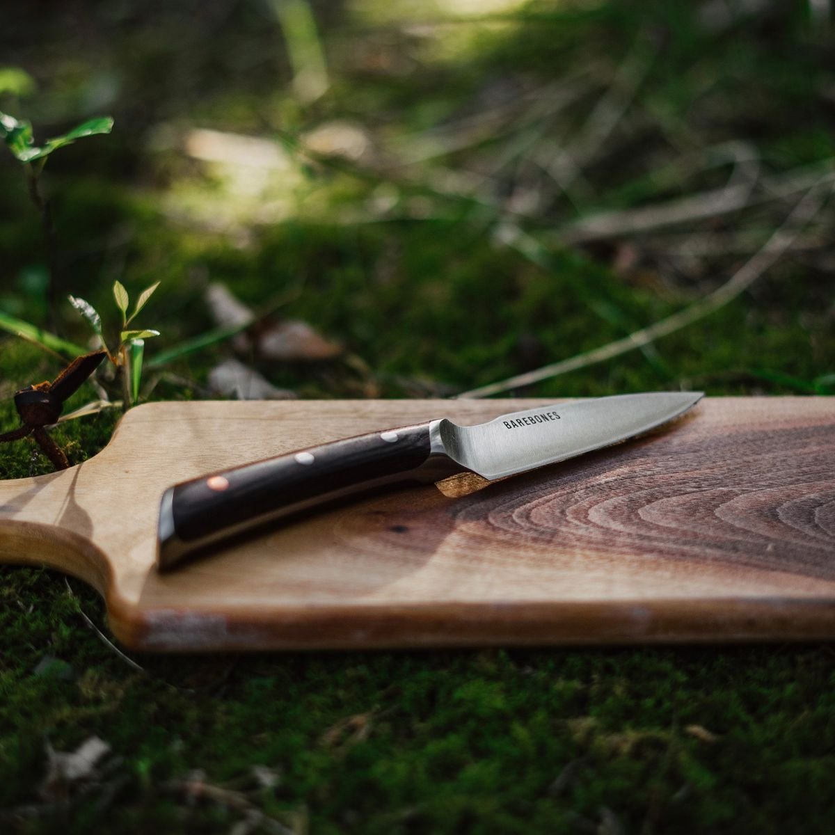 Knife being sharpened on a whetstone